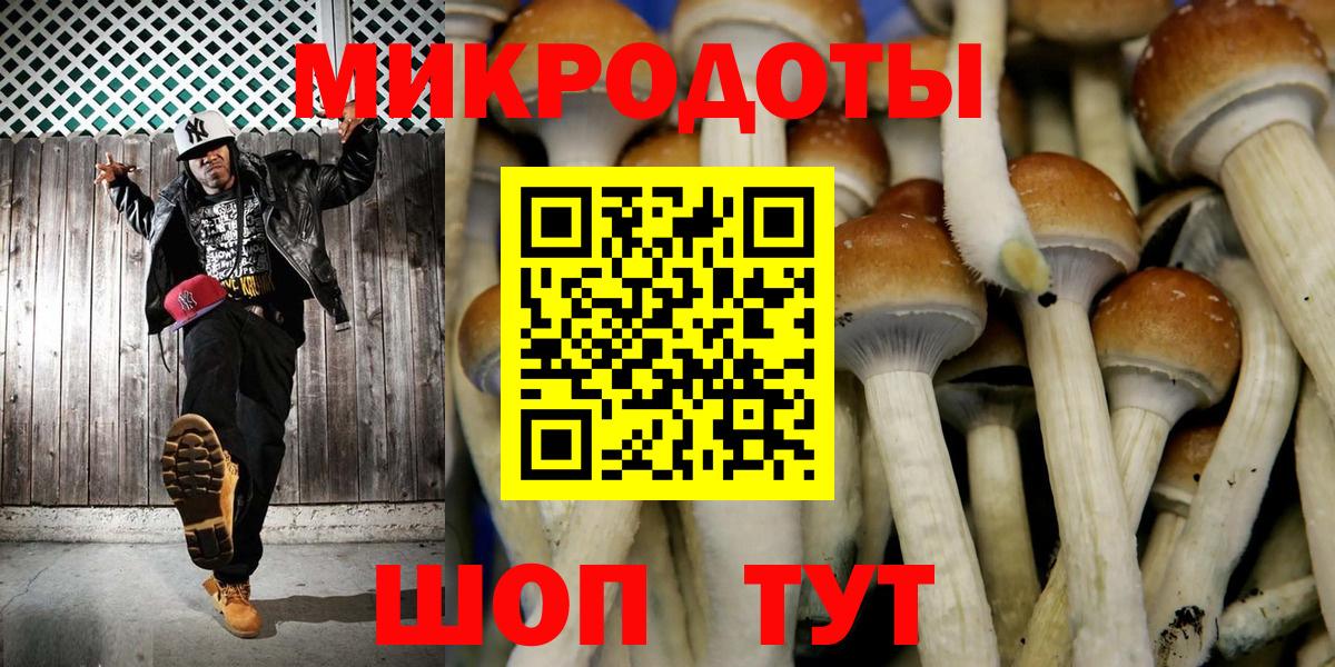 Галлюциногенные грибы Psilocybe Каспийск