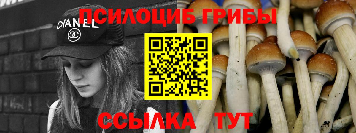 Каспийск  наркотики  Вход с VPN  Псилоцибиновые грибы Cubensis 